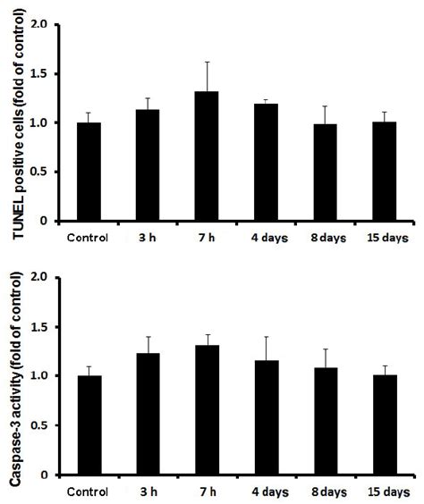 Effect Of Water Immersion And Restraint Stress On Number Of