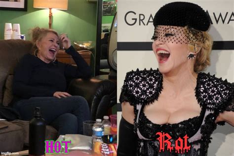 Image Tagged In Roseanne Barr Madonna The Witch Imgflip