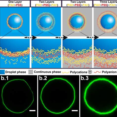 A Schematics Of The Fabrication Process Of Polyelectrolyte