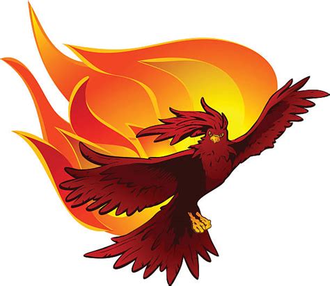 Best Phoenix Bird Rising Illustrations Royalty Free Vector Graphics