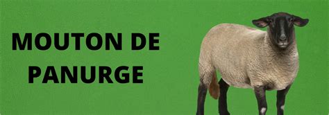 Mouton de panurge Que signifie cette expression française