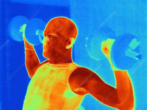 Man Training With Barbell Thermogram Stock Image F