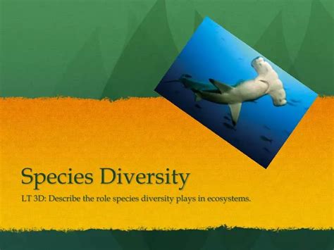 Ppt Species Diversity Powerpoint Presentation Free Download Id 6196217