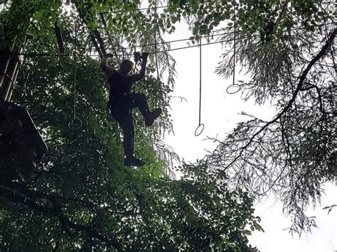 Go Ape Leeds All You Need To Know BEFORE You Go With Photos