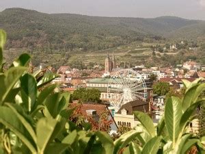 Neustadt celebrates annual wine harvest fest - Kaiserslautern American