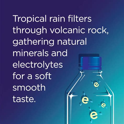 Buy Fiji Natural Artesian Water Fl Oz Pack Of Online At