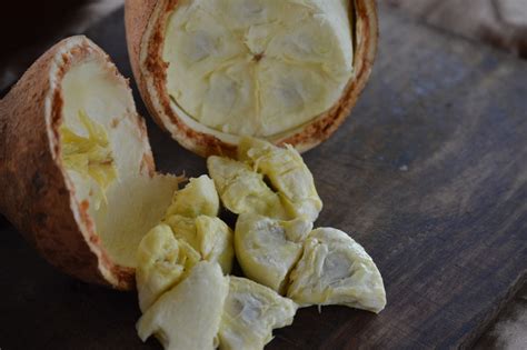 Cupuaçu Benefícios E Malefícios - Benefícios e malefícios do cupuaçu: saiba por que comer a fruta ...