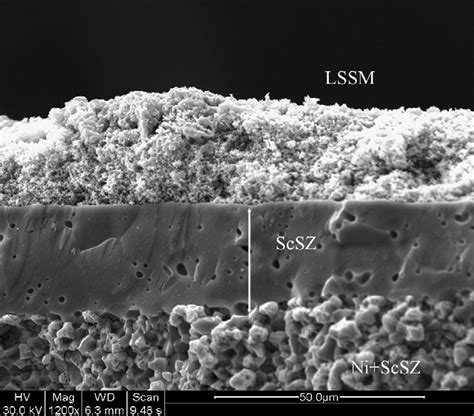 Sem Image Of The Cross Section Of A Typical Scsz Ni Supported