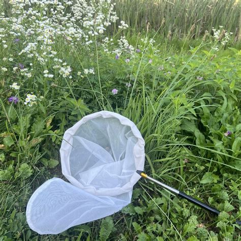 Telescopic 12 inch Insect Net - Ecology Supplies