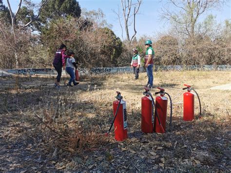 Bosque De Chapultepec On Twitter RT ProsocCDMX Como Parte Del