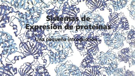 PDF Sistemas de Expresión de proteínas unq edu ar Expresión de