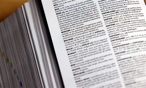 Nouveaux Mots Francisation Usage Comment Les Dictionnaires Font Le