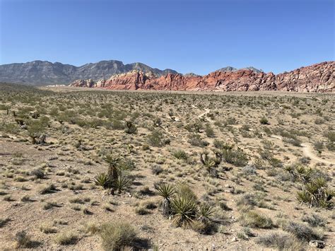 Red Rocks Red Rocks National Conservation Area Las Vegas N