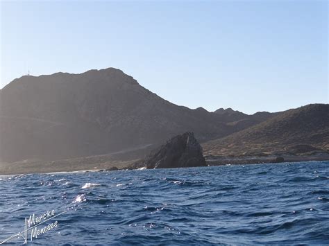 Cabo Pulmo Baja California Sur Parque Nacional Patrimonio