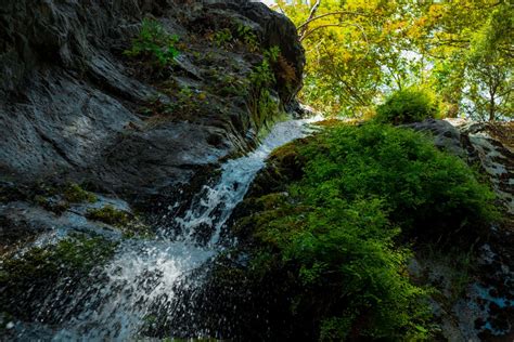 Images Gratuites arbre eau la nature Roche cascade région