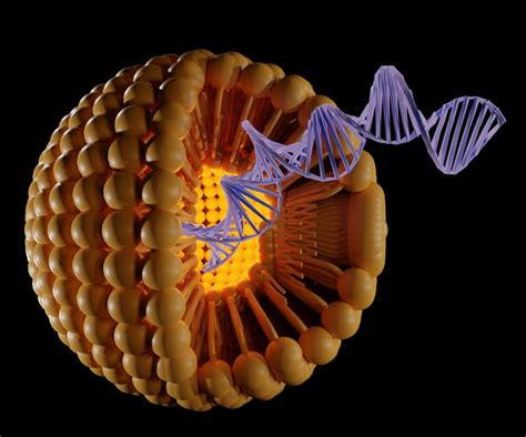 New Screening Platform For Uncovering Potent Lipid Nanoparticles To