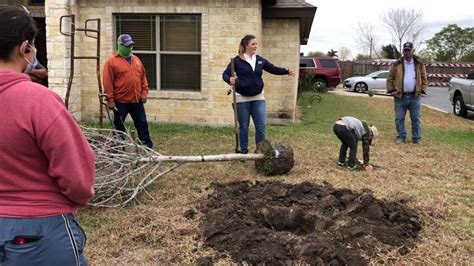 Proper Tree Planting Is Crucial To Tree Health Youtube