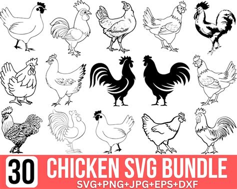 Chicken Svg Bundle Rooster Svg Farm Chicken Svg Floral Etsy