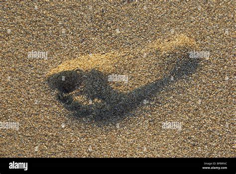 Footprint On The Sand Tropical Beach Mediterranean Sea Stock Photo