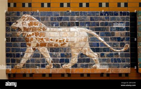 Lion Relief Procession Street Babylon Neo Babylon Nebuchadnezzar II