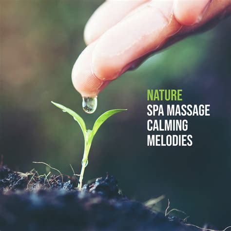 Nature Spa Massage Calming Melodies New Age Spa And Wellness Sounds Of