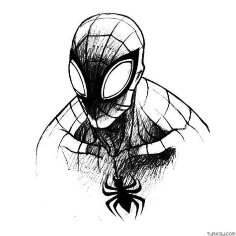 Details More Than Spiderman Sketch Art Super Hot Seven Edu Vn