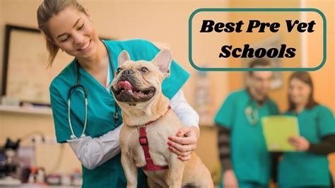 Best Pre Vet Schools