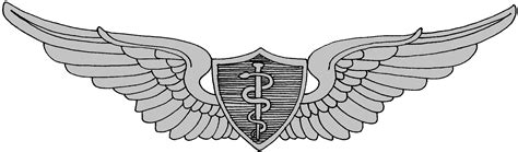 Army Flight Surgeon Badge Basic Army Aviators Army Aviation