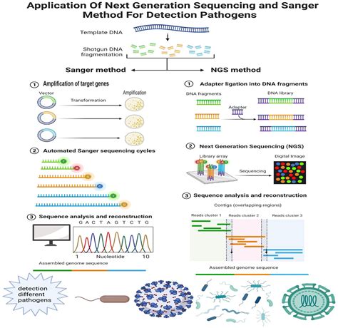 Frontiers Application Of Next Generation Sequencing To Identify Different Pathogens