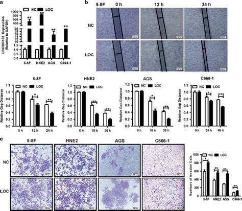 Epstein Barr Virus Encoded MiR BART6 3p Inhibits Cancer Cell Metastasis