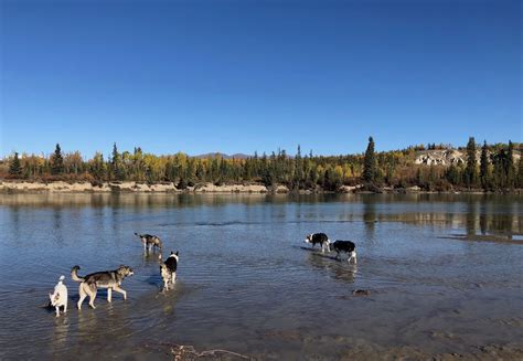 Impressions Of Whitehorse, Yukon - One Mile at a Time