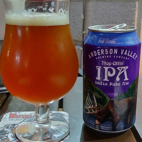 Cerveza Anderson Valley Hop Ottin IPA Cerveza Artesana