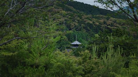 三井寺 唐院特別体験