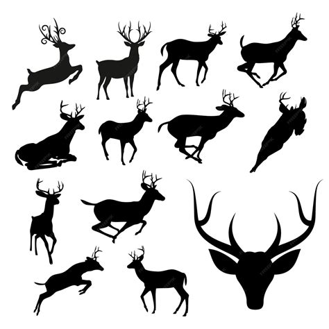 Premium Vector Set Of Different Deer Silhouette Vector Illustration