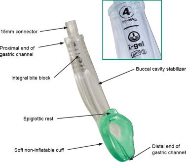 Components of the i-gel (adopted from i-gel user guide, Intersurgical Co.). | Download ...