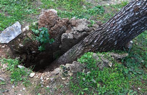 Slobodna Dalmacija Jak Vjetar Odnio Dio Krovne Konstrukcije S Crkve U