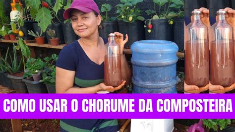 Como Usar O Chorume Da Composteira Primeira Retirada Abubo Org Nico