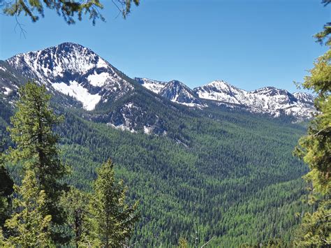 Forest Service sets public meetings for Blue Mountains Forest Plan