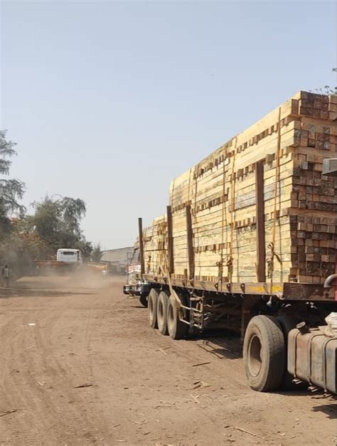 Rectangular Brown Uruguay Pine Wood Planks For Furniture At Rs 550