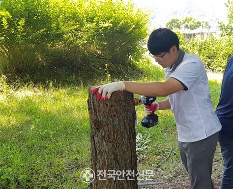 남부지방산림청 산림분야 일자리 이해 현장특강 실시전국안전신문