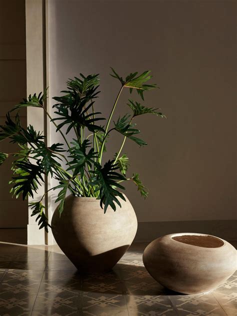 plantenpot dodu van cement westwing