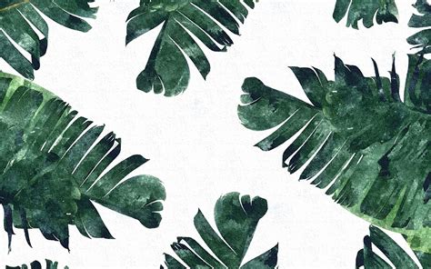 100 Tropical Leaves Backgrounds