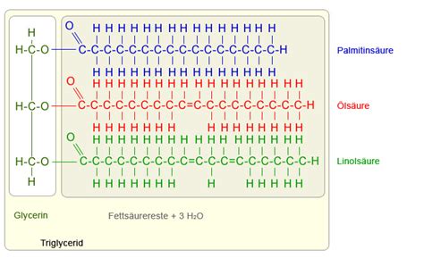 Chemie Fette? (Moleküle, organische Chemie, Strukturformel)