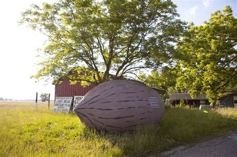 Worlds Largest Pecan In Brunswick Missouri Former