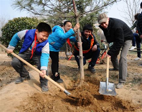 Planting Trees Across China Chinadaily Cn