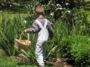 Cómo entretener a tus hijos mientras trabajas en casa Tips de Madre