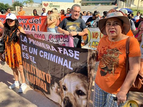 Marchan En Torre N Para Exigir Que Se Endurezcan Penas Por Maltrato Y