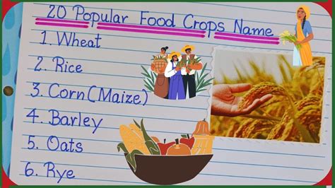 20 Popular Food Crops Name 20 Food Crops Name In English Writing