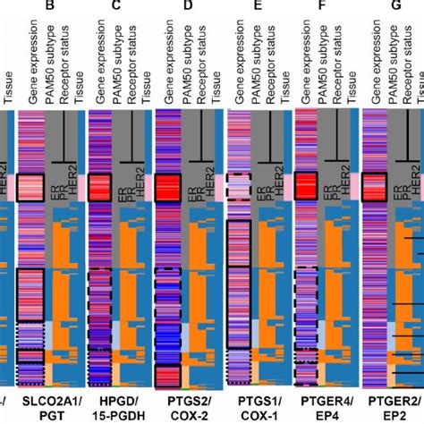 Clinical Characteristics Of Tcga Breast Cancer Illumina Hiseq Dataset