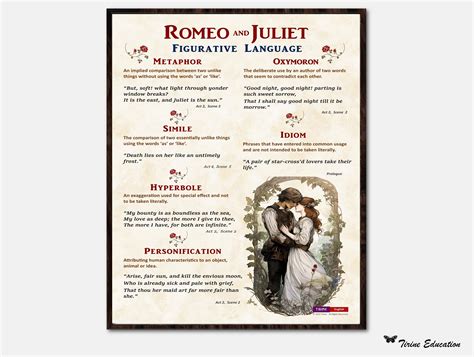 Figurative Language In Romeo And Juliet Poster High School English